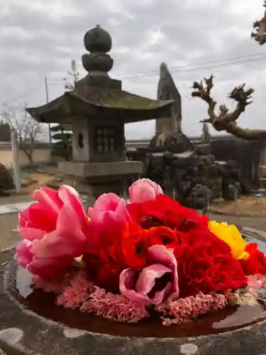 真言宗　善通寺派　薬王寺(香川県)