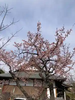 善福寺(神奈川県)