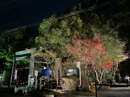 等彌神社(奈良県)