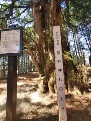 熊野神社 (船越町)(栃木県)