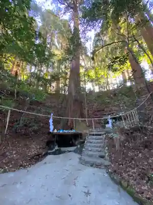 天岩戸神社(宮崎県)