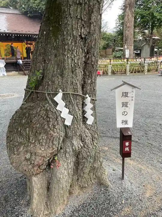 七社神社(東京都)