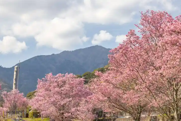 大山阿夫利神社の自然