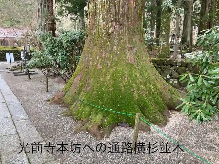 宝積山光前寺(長野県)