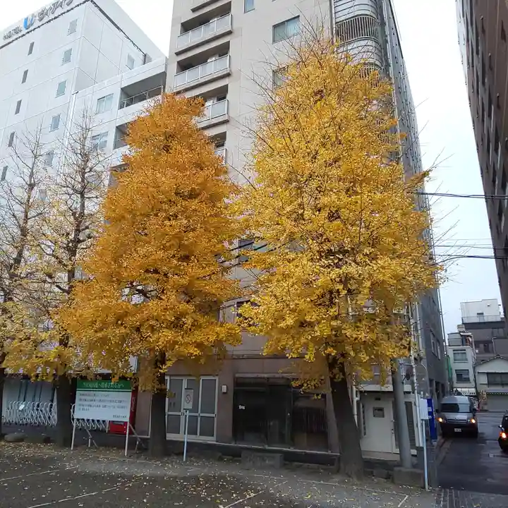 浅草神社の自然