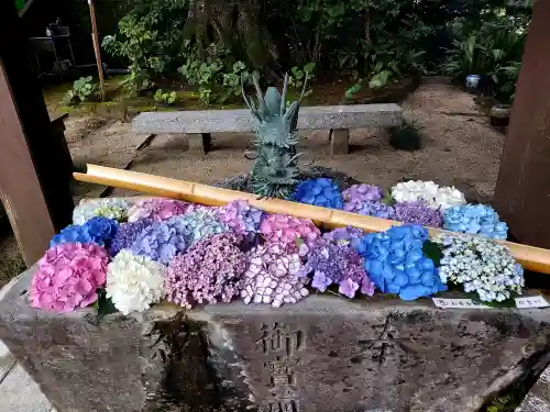 二本松寺(茨城県)