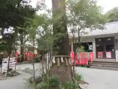 八雲神社の建物その他