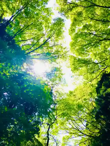 鹿島神宮(茨城県)