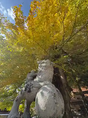 筒賀大歳神社(広島県)