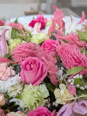 鳩森八幡神社(東京都)