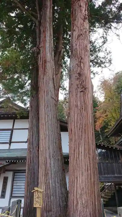 北向観音の自然