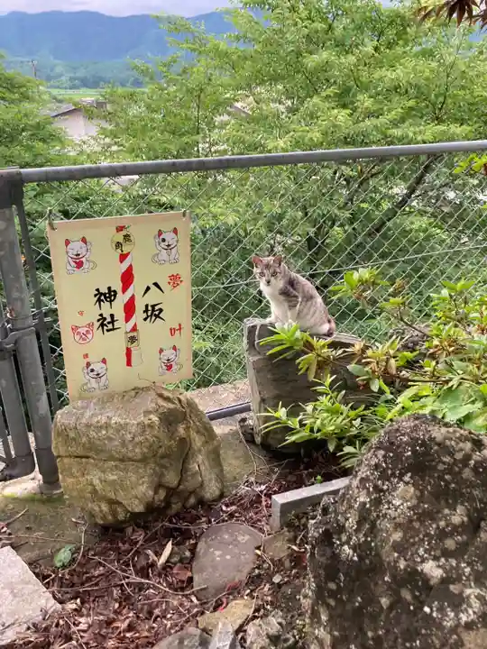 鹿角八坂神社の御朱印