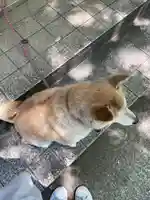 笠䅣稲荷神社(神奈川県)