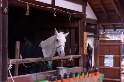 賀茂別雷神社（上賀茂神社）(京都府)