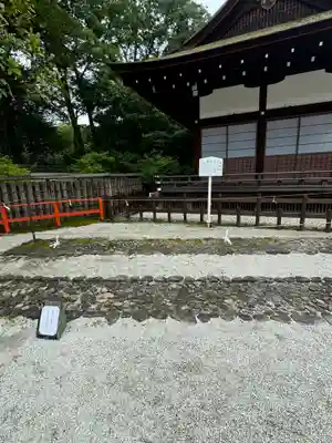 賀茂御祖神社（下鴨神社）(京都府)