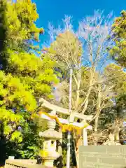 日先神社の鳥居