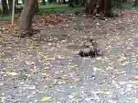 湯次神社(滋賀県)