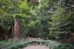 武蔵一宮氷川神社の庭園