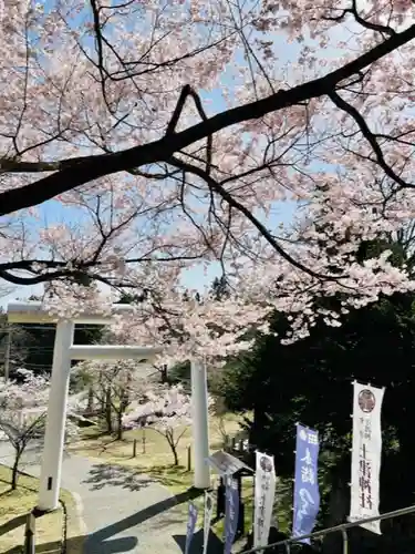 土津神社｜こどもと出世の神さまの景色