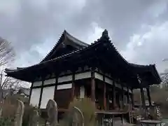 般若寺 ❁﻿コスモス寺❁(奈良県)