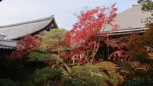 禅林寺（永観堂）のその他建物