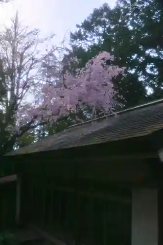 伊勢山皇大神宮(神奈川県)