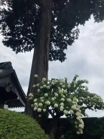 弘長寺(長野県)