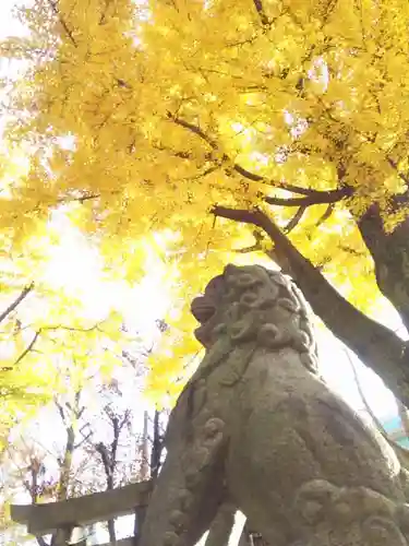 志演尊空神社の狛犬