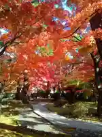 正樂寺(宮城県)