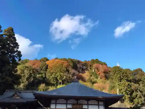 光明寺(静岡県)