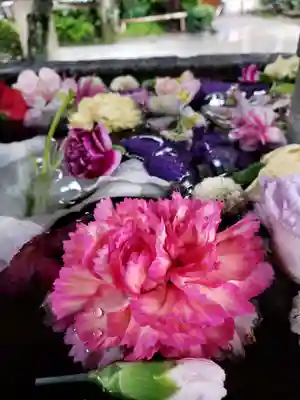 鳩森八幡神社の手水舎