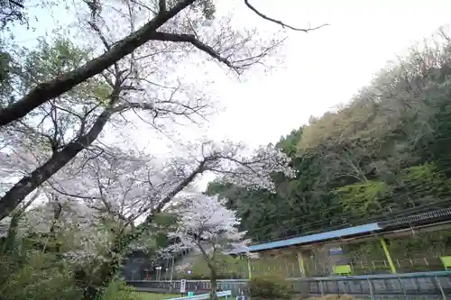 天神社(埼玉県)