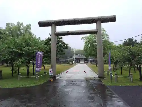 札幌護國神社の鳥居