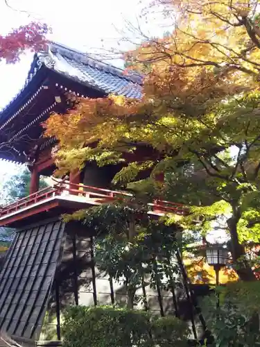 清泰寺の建物その他