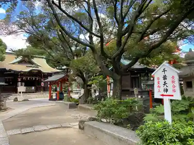 千葉天神(千葉県)