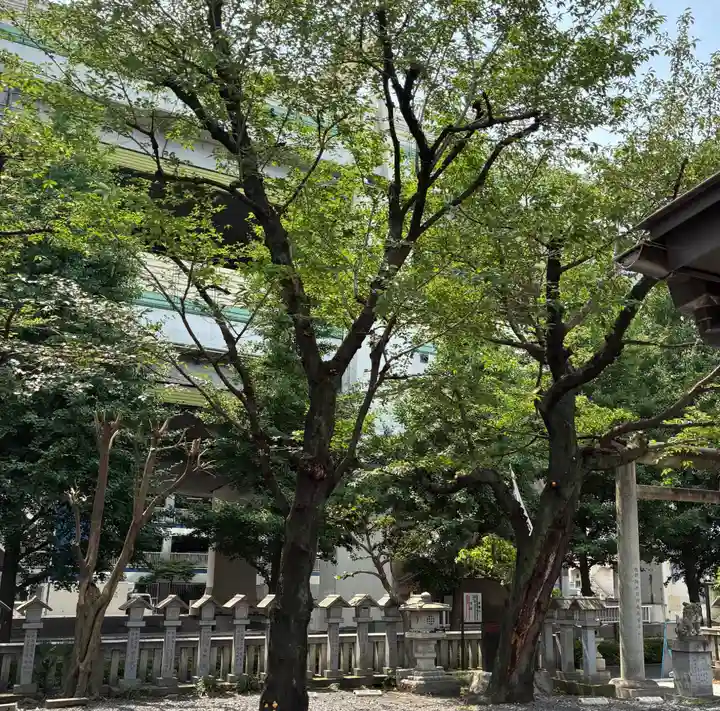 くまくま神社(導きの社 熊野町熊野神社)(東京都)