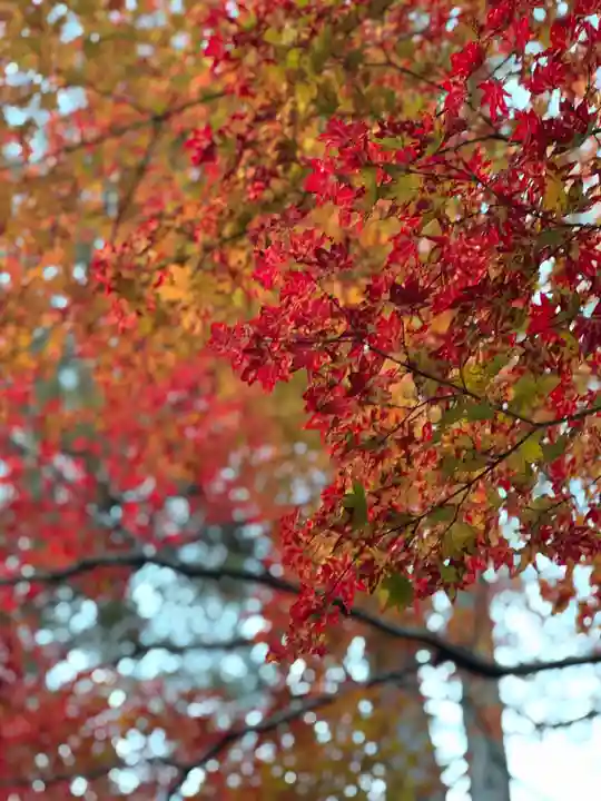 諏訪大社下社秋宮(長野県)