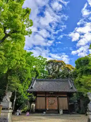 日吉神社の本殿・本堂