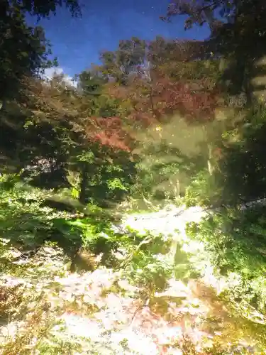 鶴岡八幡宮の自然