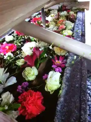 鳩森八幡神社(東京都)