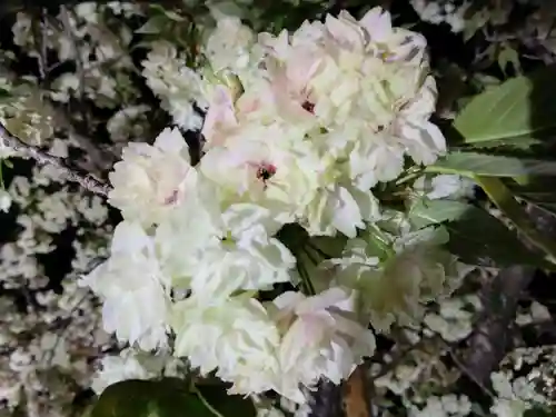 上地八幡宮の庭園