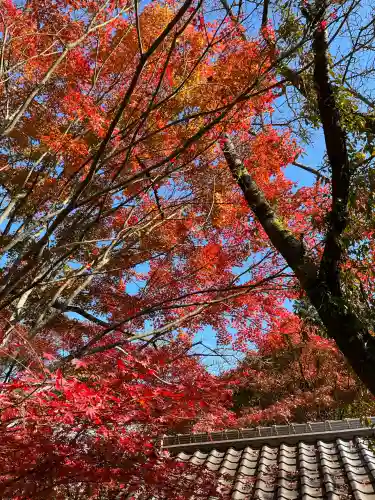 国宝　長寿寺(滋賀県)