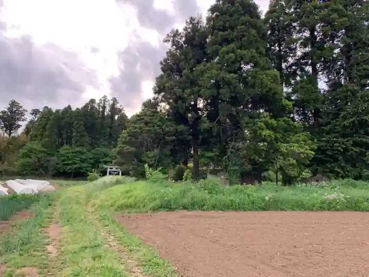野堀神社(千葉県)