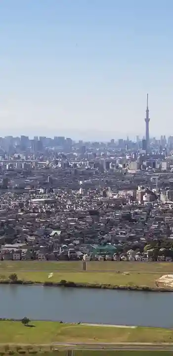 春日神社の景色