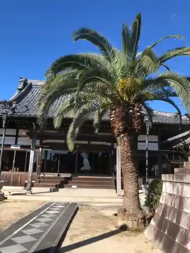 東光寺(愛知県)