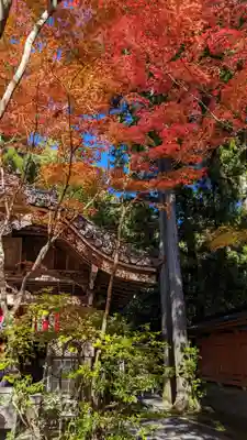 赤山禅院(京都府)