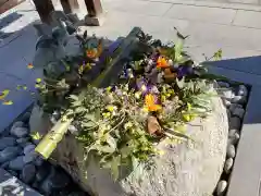 白鷺神社(栃木県)