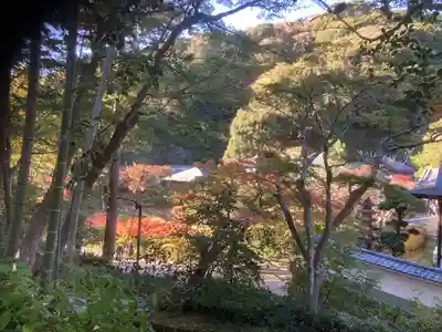 円覚寺(神奈川県)