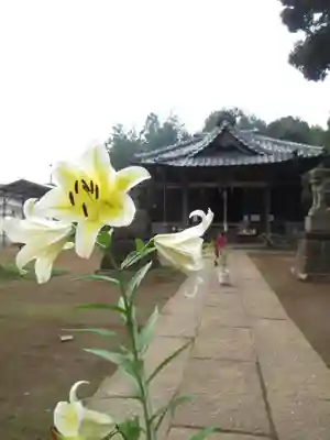 伏木香取神社(茨城県)