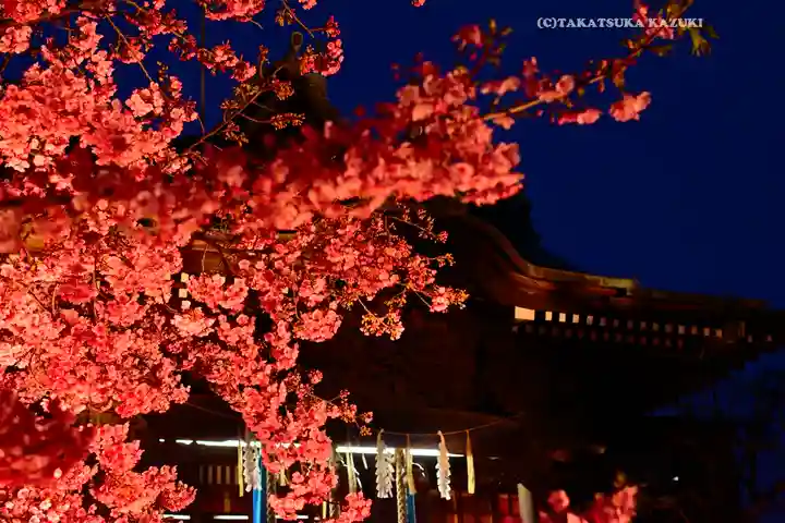 桜神宮(東京都)